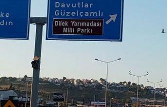 Kuşadası’nda leylekler geri döndü