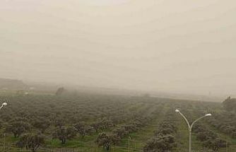 Libya kaynaklı toz taşınımı Osmaniye’de etkili oldu