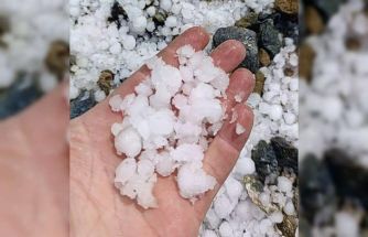 Malatya’da dolu kayısı bahçelerine zarar verdi