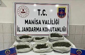 Manisa’da jandarmadan uyuşturucuya darbe: 106 tutuklama