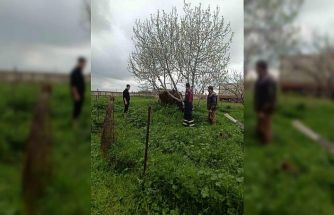 Mardin’de kuyuya düşen ineği itfaiye kurtardı