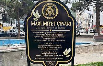 "Masumiyet Çınarları" kaybedilen canların hatırası için dikildi