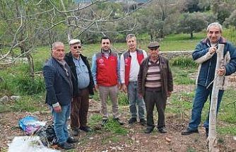 Menteşe’de çiftçiye uygulamalı eğitim