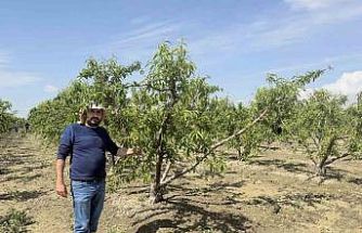 Mersin’de selin ardından bahçelerde sular yeni çekildi