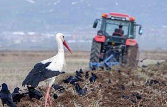 Meteorolojiden zirai don uyarısı