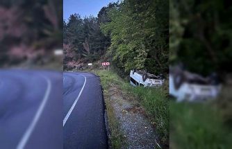 Minibüs yoldan çıktı: 2 yaralı