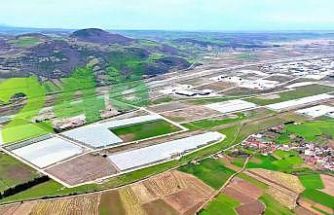 Modern tarımın yeni adresi Bafra: Karadeniz’de başarı hikayesi yazılıyor