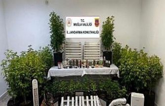 Muğla’da 15’inci yüzyıla ait Tevrat ele geçirildi