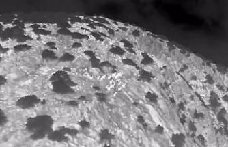 Muğla’da yaban keçileri termal kameralı drone ile görüntülendi