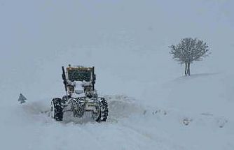 Muş’ta 55 köy yolu kapandı