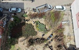 Muş’ta meyve fidanları satışa çıkarıldı