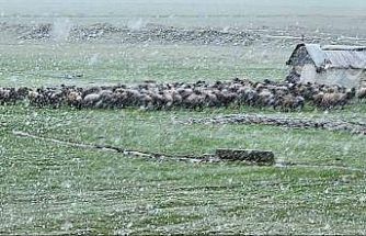 Muş’ta nisan karı etkisini sürdürüyor: 22 köy yolu ulaşıma kapandı