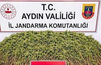 Nazilli’de uyuşturucu operasyonu