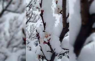 Nisan karı mahalleyi beyaza bürüdü