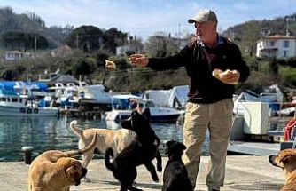 Olta tutkunu vatandaştan sokak köpeklerine şefkat