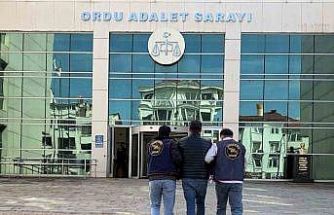 Ordu’da jandarma aranan 62 şüpheliyi yakaladı