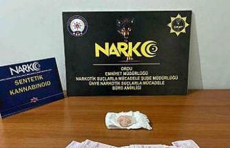 Ordu’da uyuşturucu operasyonlarında 3 tutuklama