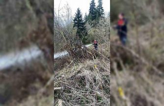 Ormanlık alanda çıkan yangın büyümeden söndürüldü