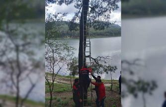 Osmaniye’de ağaca takılan kargayı itfaiye kurtardı