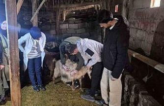 Özalp’te çiftçilere yönelik eğitim seferberliği başlatıldı