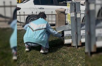 Özel öğrencilerden sokak hayvanlarına mama desteği