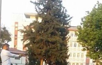 Parkta çocuğa oyuncak silahla atış talimi yaptırdı