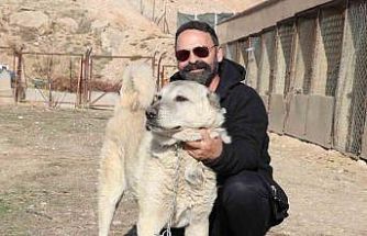 Rus güzele gönlünü kaptıran kangala kadınlardan tepki: "Bizim erkeklerimiz böyledir"