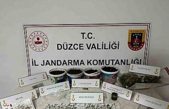 Saksıda kenevir yetiştiren şahıs gözaltına alındı