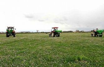 Samsun’da meralarda ıslah çalışmaları sürüyor