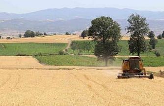 Samsun’da tarım, hayvancılık ve kırsal kalkınmaya 3 milyar TL üzerinde destek