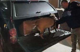 Samsun’da uyuşturucu operasyonunda 165 bin hap ele geçirildi