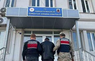 Şanlıurfa’da 13 yıl hapis cezası bulunan hükümlü yakalandı