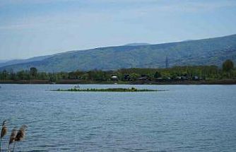 Sapanca Gölü çekildi: Gizemli ada yeniden ortaya çıktı