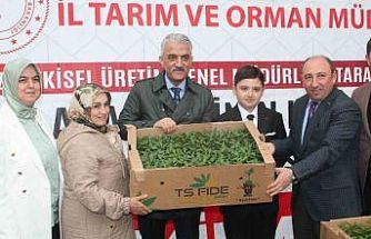 Sebze üretimi yapan çiftçilere fide dağıtıldı