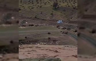 Siirt’te sağanak yağış hayvancılığı olumsuz etkiledi