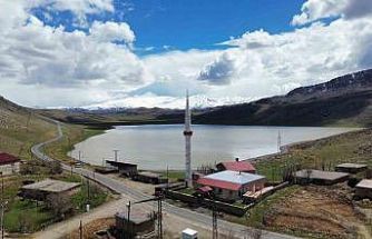 Siirt’teki Zirin Gölü yeniden hayat buldu