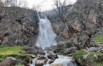 Şırnak’ta baharla birlikte şelaleler coştu