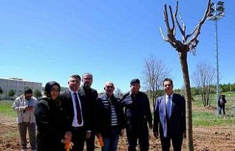 Sivas’ta şehitlerin adı fidanlarda yaşatılacak