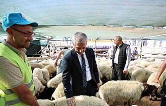 Tahmazoğlu’ndan vatandaşın yüzünü güldüren açıklama