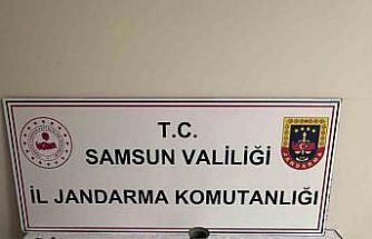 Tarihi eser kaçakçıları jandarmaya yakalandı