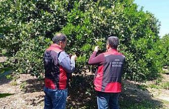 Tarımda biyolojik mücadele seferberliği