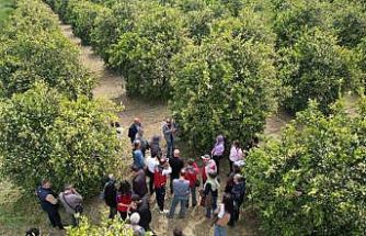 Tarımda yeni dönem başlıyor