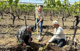 TARİŞ’ten bağlara yakın takip