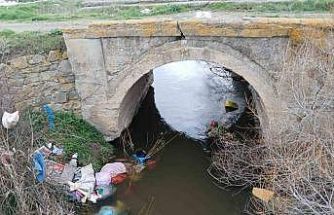 Tavşanlı’da bilinçsizce hareket çevre kirliliğine sebep oluyor