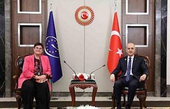 TBMM Başkanı Kurtulmuş, Avrupa Konseyi Parlamenter Meclisi Başkanı Bayr ile bir araya