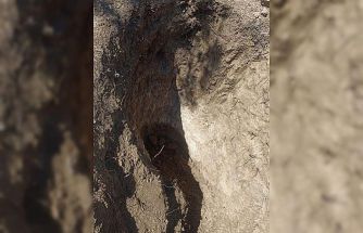 Tekirdağ’da mezarlıkta define aradılar