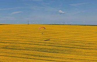 Tekirdağ’da sarı şölen: Paramotorlar sarı tarlaları gezdi