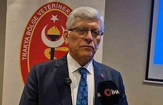 Tekirdağ’dan kritik çağrı: "Belediyelerde veteriner hekim açığı giderilmeli"