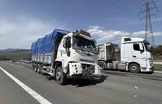 TEM’de tırdan kopan lastik kamyonun altına girdi