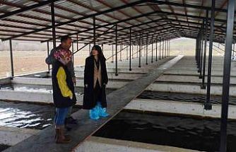 Tercan’da alabalık üretim tesisine denetim